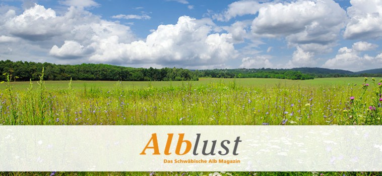 uebersicht_alblust